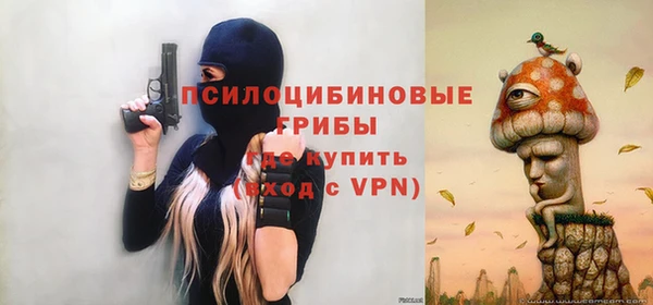 сатива Алексеевка