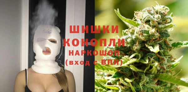 тгк Абаза