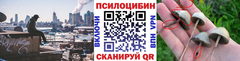 маркетплейс состав  Яблоновский  Псилоцибиновые грибы ЛСД 